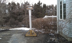 2014.03.24---Bird Feeder position shot #1---[HTC-IMAG0171]